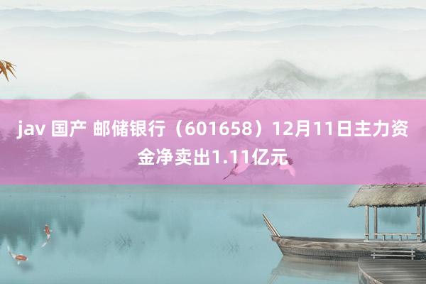 jav 国产 邮储银行（601658）12月11日主力资金净卖出1.11亿元