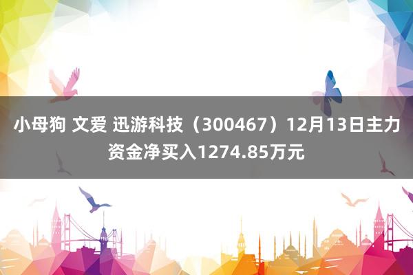 小母狗 文爱 迅游科技（300467）12月13日主力资金净买入1274.85万元