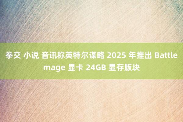 拳交 小说 音讯称英特尔谋略 2025 年推出 Battlemage 显卡 24GB 显存版块