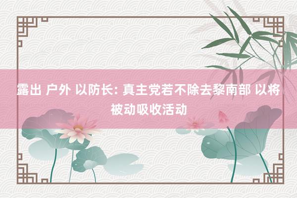 露出 户外 以防长: 真主党若不除去黎南部 以将被动吸收活动