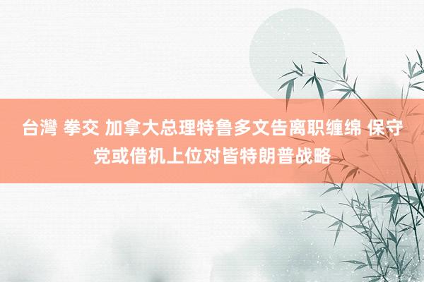 台灣 拳交 加拿大总理特鲁多文告离职缠绵 保守党或借机上位对皆特朗普战略