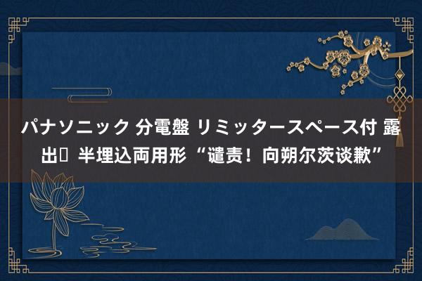 パナソニック 分電盤 リミッタースペース付 露出・半埋込両用形 “谴责！向朔尔茨谈歉”