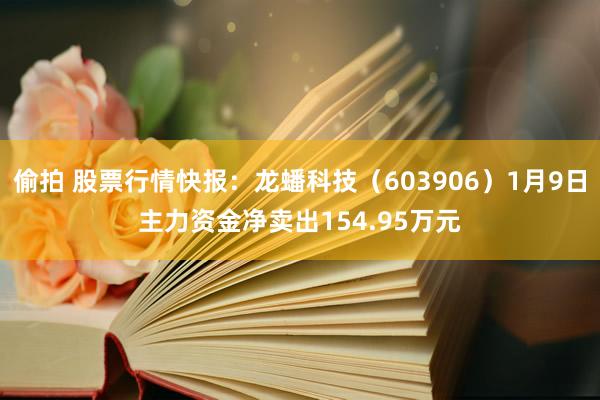 偷拍 股票行情快报：龙蟠科技（603906）1月9日主力资金净卖出154.95万元