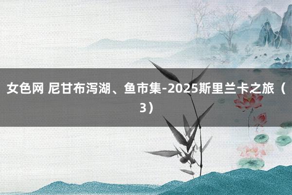 女色网 尼甘布泻湖、鱼市集-2025斯里兰卡之旅（3）