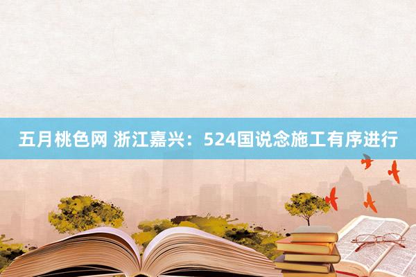 五月桃色网 浙江嘉兴：524国说念施工有序进行