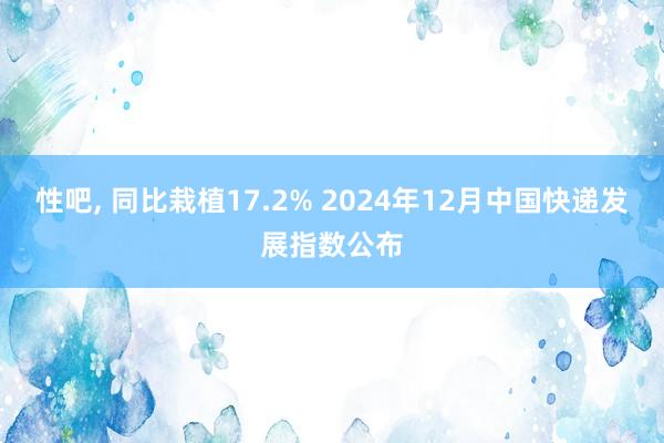 性吧， 同比栽植17.2% 2024年12月中国快递发展指数公布