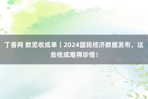 丁香网 数览收成单｜2024国民经济数据发布，这些收成难得珍惜！