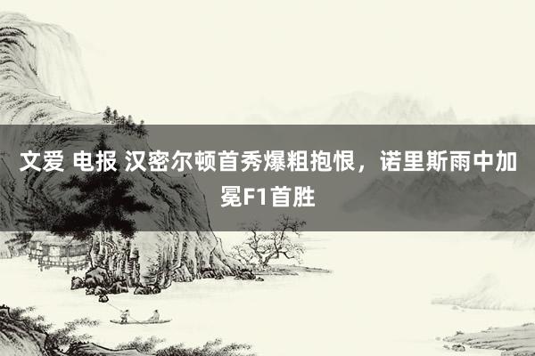 文爱 电报 汉密尔顿首秀爆粗抱恨，诺里斯雨中加冕F1首胜