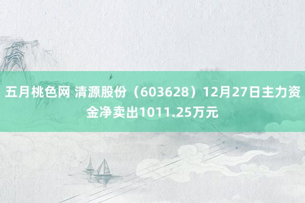 五月桃色网 清源股份（603628）12月27日主力资金净卖出1011.25万元