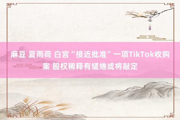 麻豆 夏雨荷 白宫“接近批准”一项TikTok收购案 股权稀释有缱绻或将敲定
