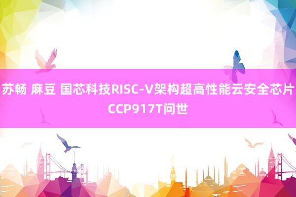 苏畅 麻豆 国芯科技RISC-V架构超高性能云安全芯片CCP917T问世