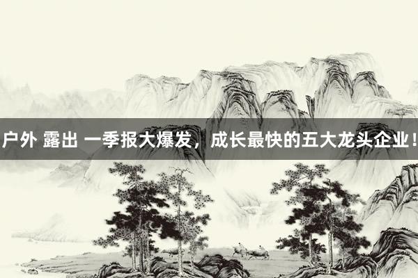 户外 露出 一季报大爆发，成长最快的五大龙头企业！
