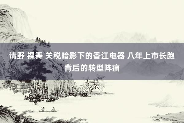 清野 裸舞 关税暗影下的香江电器 八年上市长跑背后的转型阵痛
