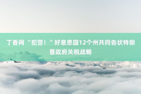 丁香网 “犯警！”好意思国12个州共同告状特朗普政府关税战略