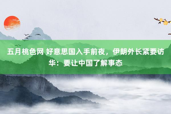 五月桃色网 好意思国入手前夜，伊朗外长紧要访华：要让中国了解事态